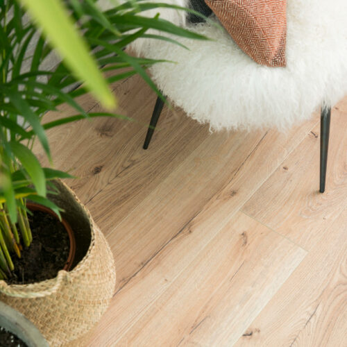 parquet du monde